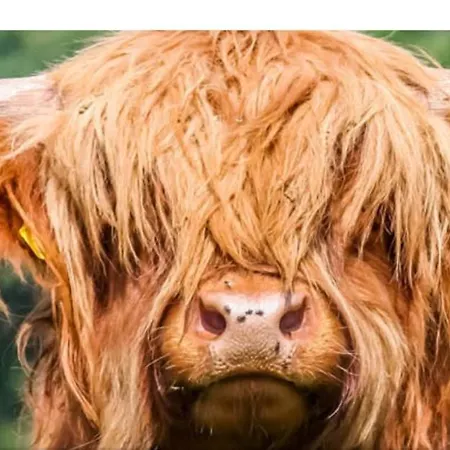 Strand Zuid Apartment Egmond aan Zee