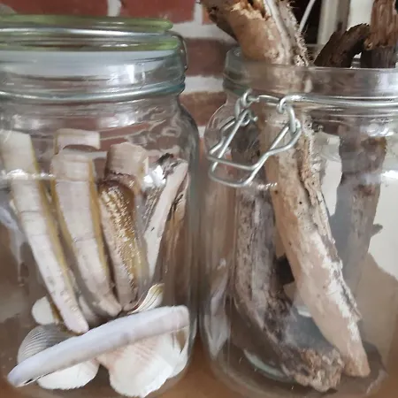 Strand Zuid Apartment