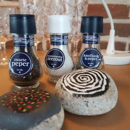 Apartment Strand Zuid Egmond aan Zee