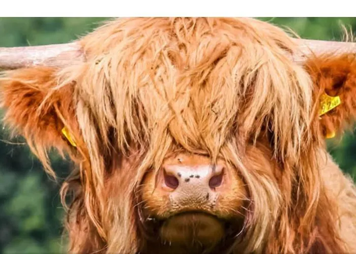 Strand Zuid Apartmán Egmond aan Zee