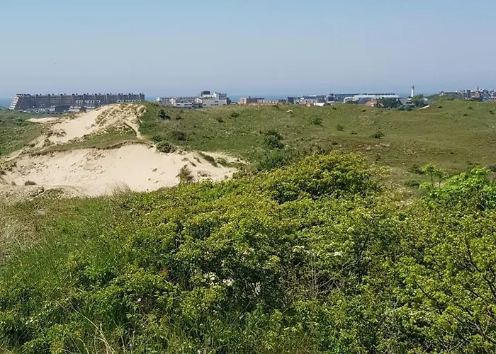 Strand Zuid Apartmán