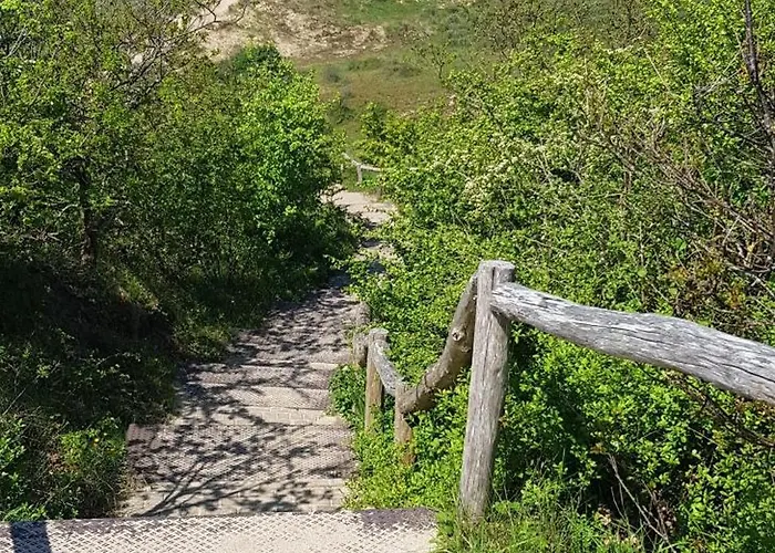 Strand Zuid Apartmán