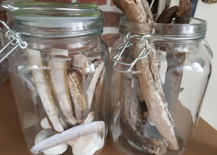 Strand Zuid Apartmán