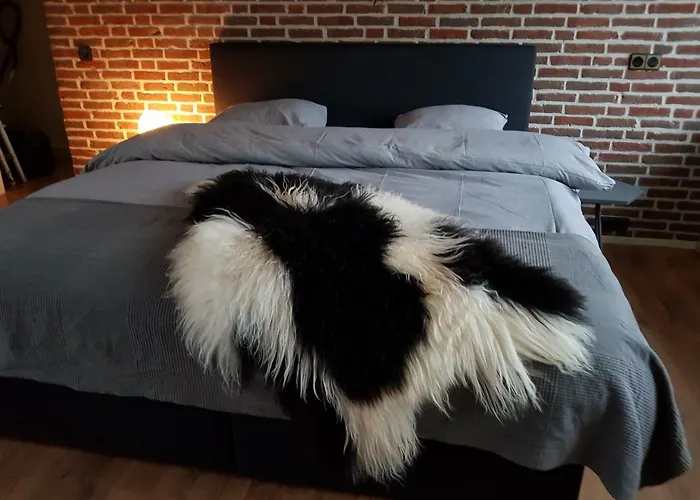 Strand Zuid Apartmán *